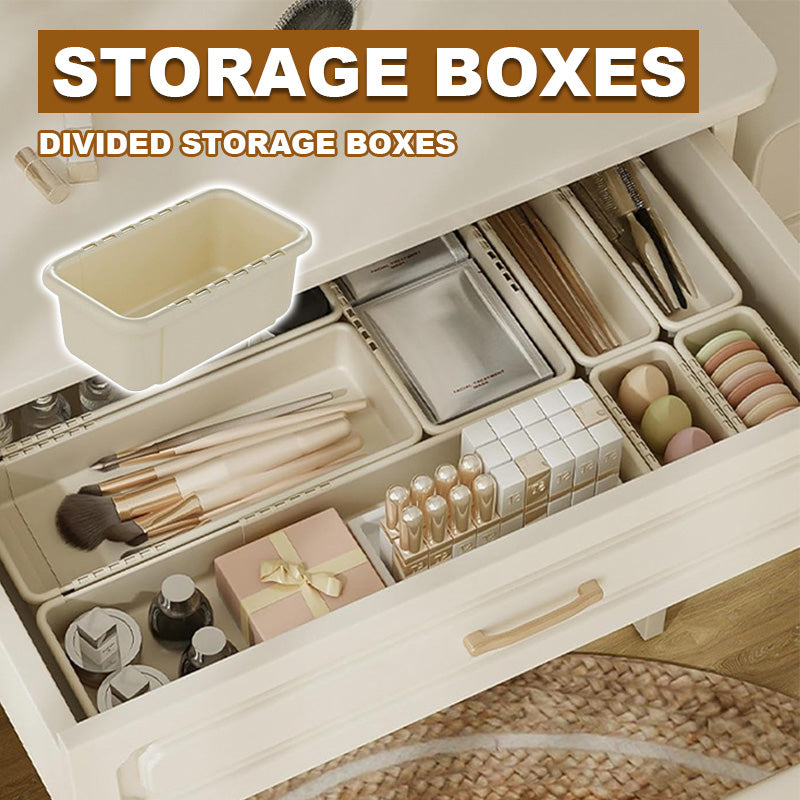 Divided Storage Box